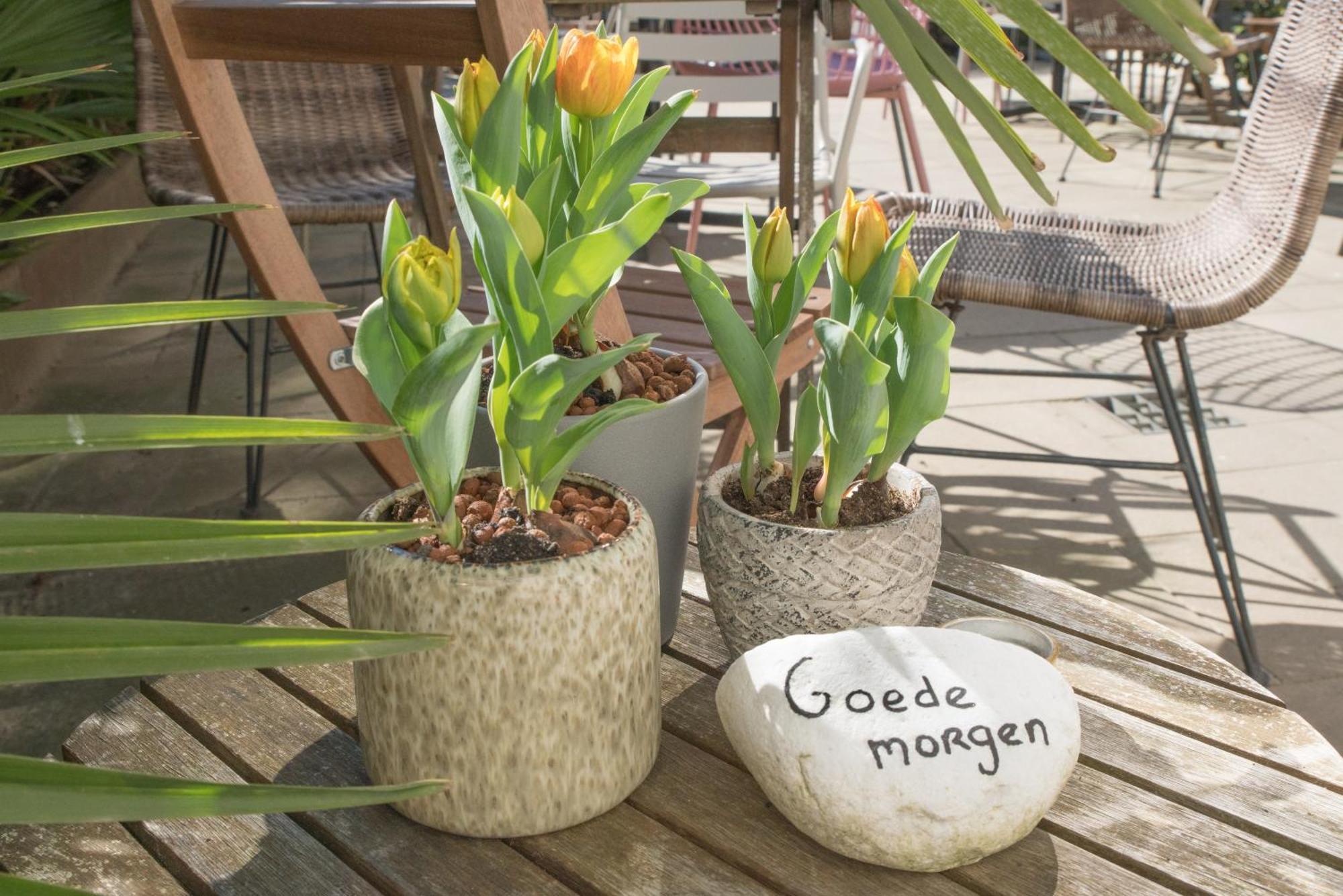 The Bloom Noordwijk Exterior foto